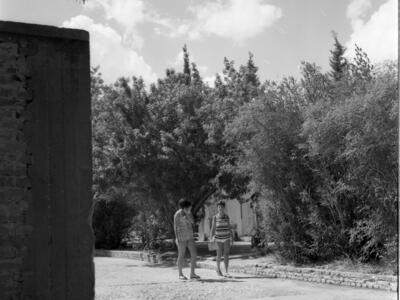  גבעת חביבה; 1968