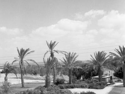  גן השבעה ; 1966 במוסד; 1966