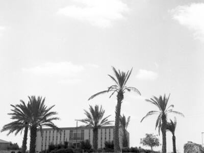  גן השבעה ; 1966 במוסד; 1966