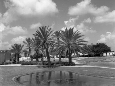  כפר מנחם, גן השבעה; 1971