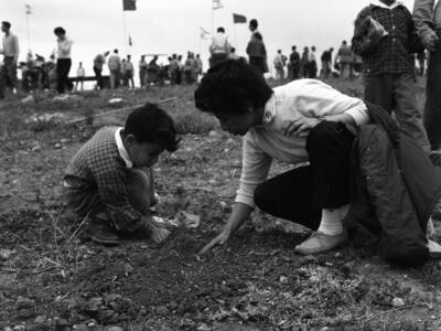  רות כצנלסון ט"ו בשבט תשכ"א; 1961