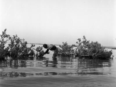  טיול חברי כפר מנחם לסיני, מרץ ; 1972