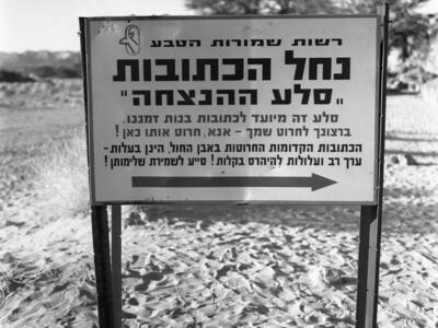  הטיול לסיני; 1972