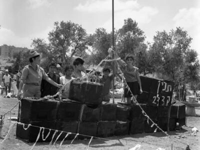  תנין