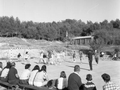  כדור יד ,טורניר; 1966