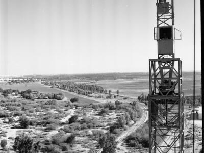  מתמור; 1966