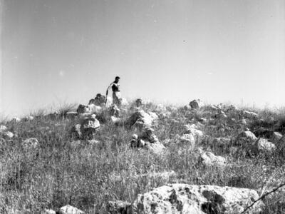  סקר ארכיאולוגי, יוני; 1960