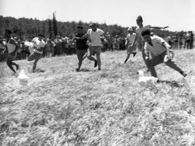  פיקניק בחג העצמאות ; 1961