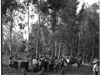  פיקניק היובל; 1963