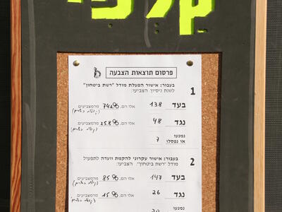 21915 - רשת בטחון.JPG