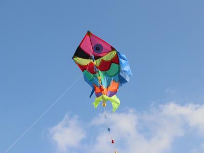 34762 - IMG_1955.JPG