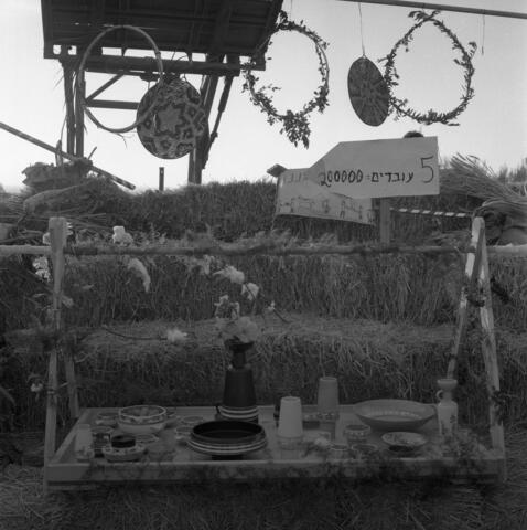  חג- הביכורים תשכ"ו; 1966